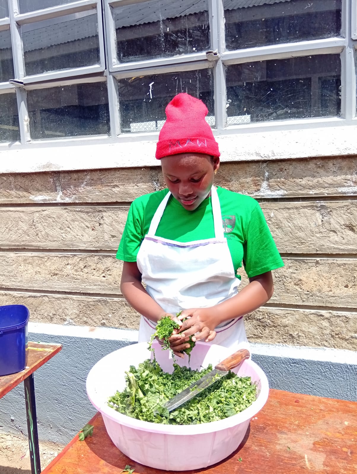 WhatsApp Image 2025-11-15 at 15.43.49_38d4bdec